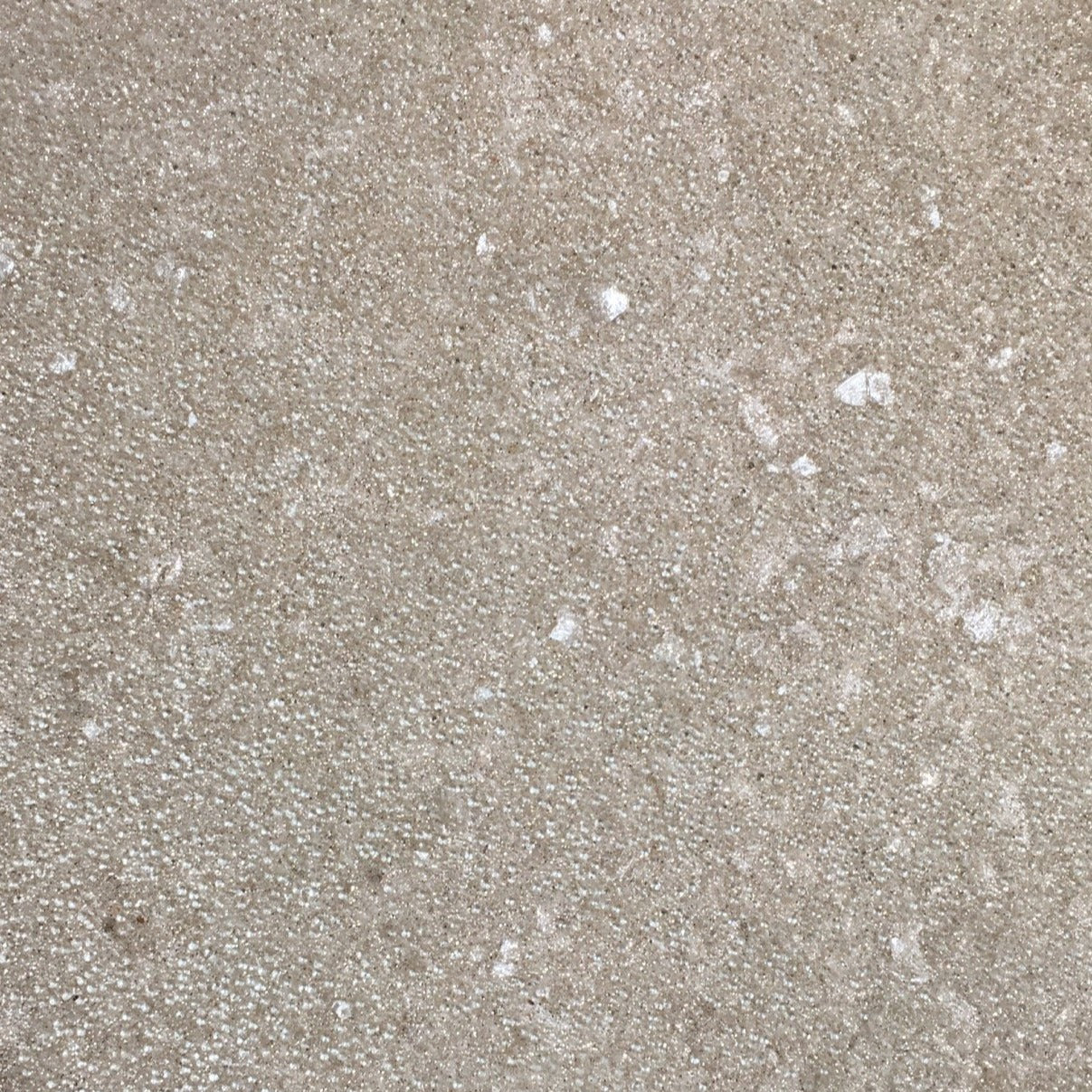 Sea Pearl